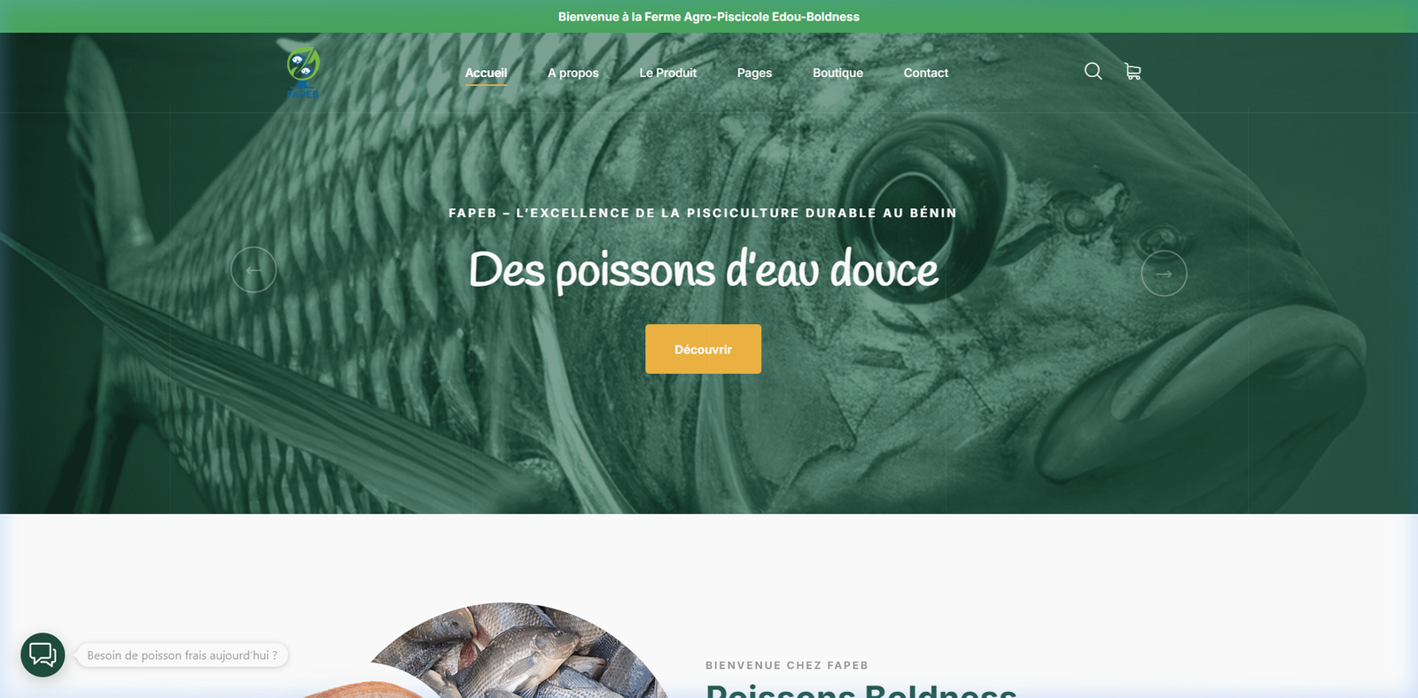 Aperçu du site FAPEB